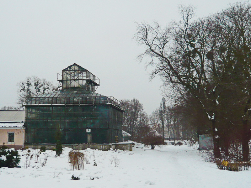 1700m2 Botanical Garden BFU Kantа Reconstruction | Kaliningrad, Russia