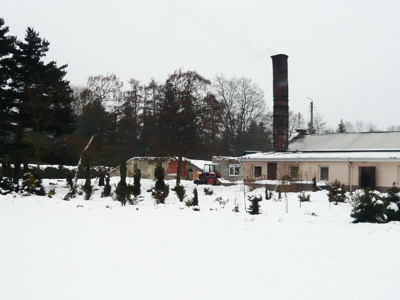 1700m2 Botanical Garden BFU Kantа Reconstruction | Kaliningrad, Russia