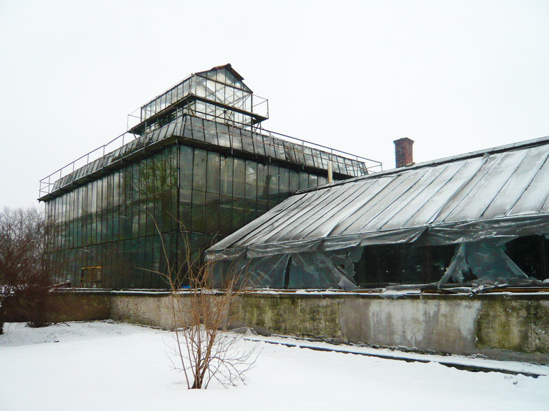 botanic_33 botanic_33