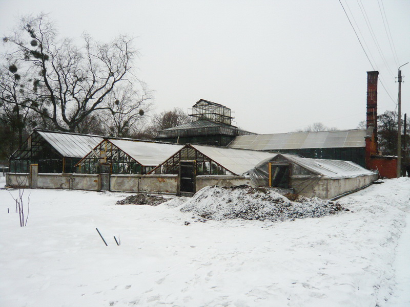 1700m2 Botanical Garden BFU Kantа Reconstruction | Kaliningrad, Russia