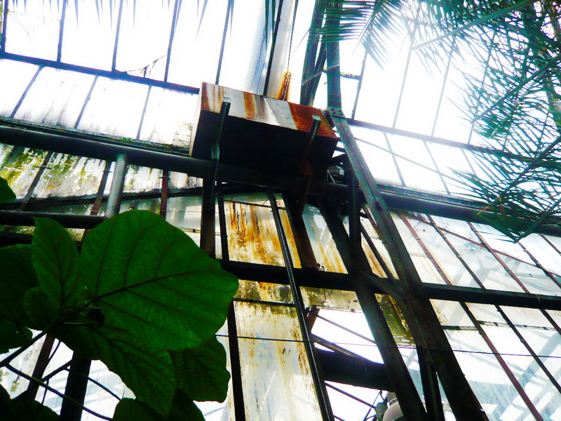 1700m2 Botanical Garden BFU Kantа Reconstruction | Kaliningrad, Russia