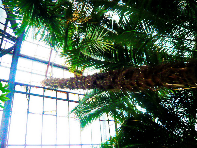 1700m2 Botanical Garden BFU Kantа Reconstruction | Kaliningrad, Russia