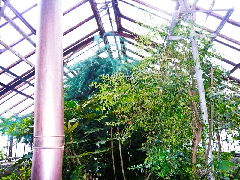 1700m2 Botanical Garden BFU Kantа Reconstruction | Kaliningrad, Russia