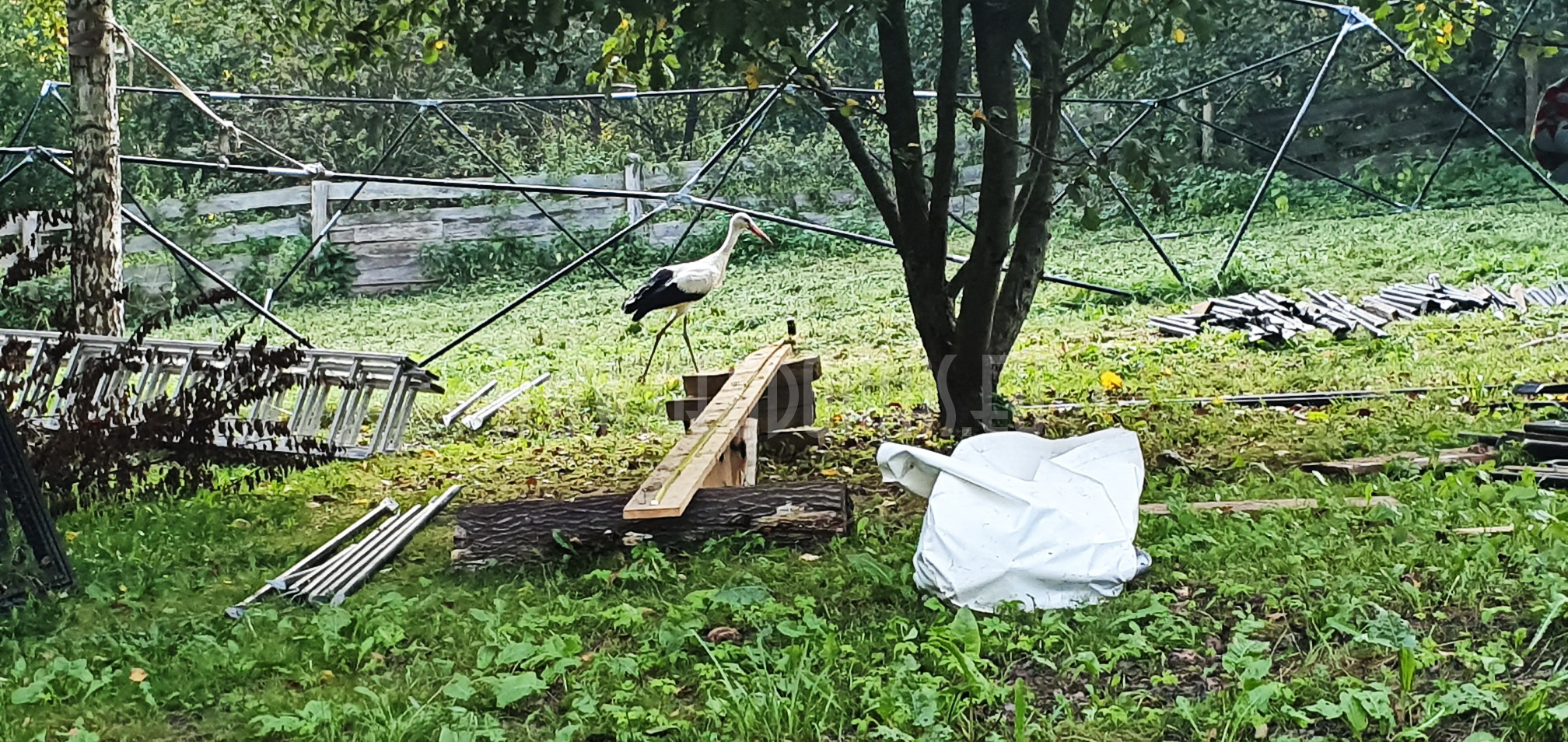 Ø6-Ø7-Ø30m Kupolai Laukinių Paukščių Reabilitacijos Centrui | Bukvald, Lenkija