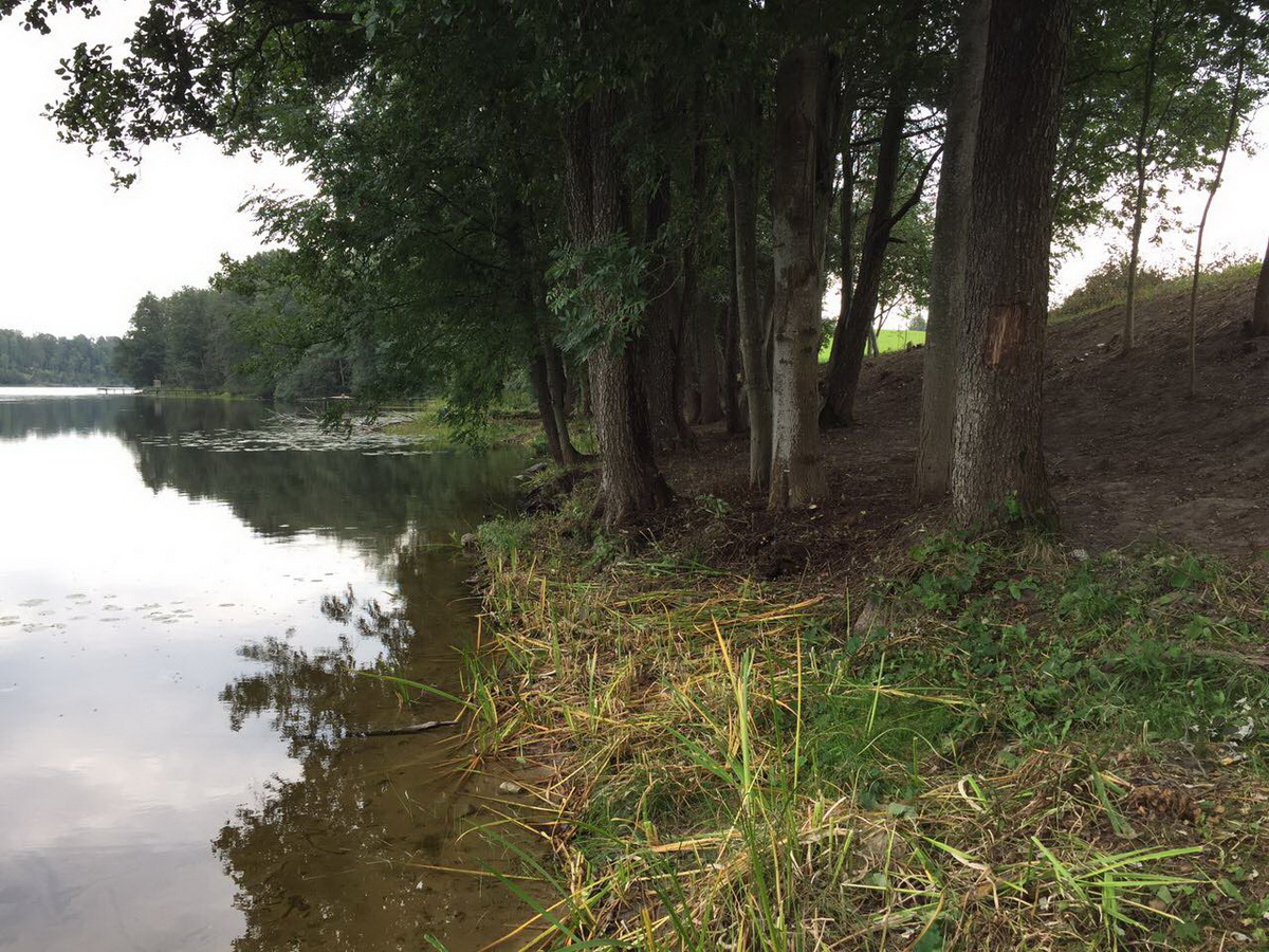 Apvalus Gyvenamasis Namas A+ Ø15m | Maišiagalos raj.