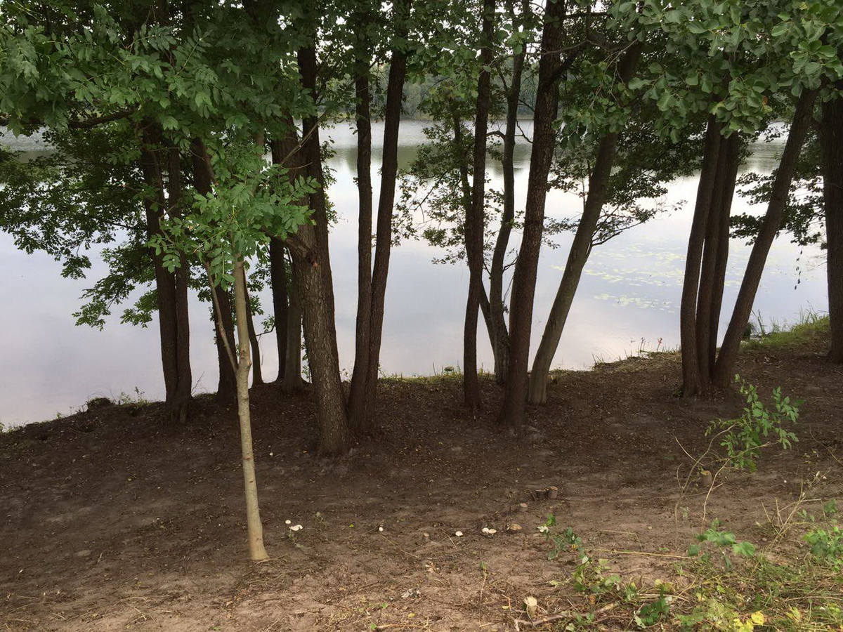 Apvalus Gyvenamasis Namas A+ Ø15m | Maišiagalos raj.