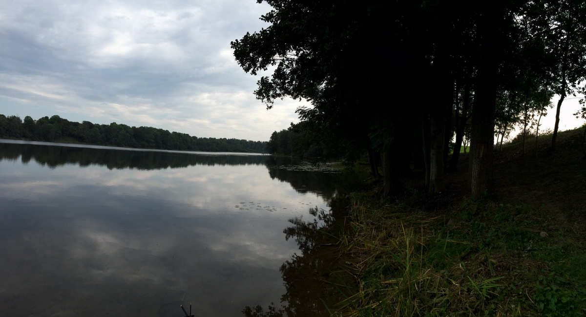 Apvalus Gyvenamasis Namas A+ Ø15m | Maišiagalos raj.