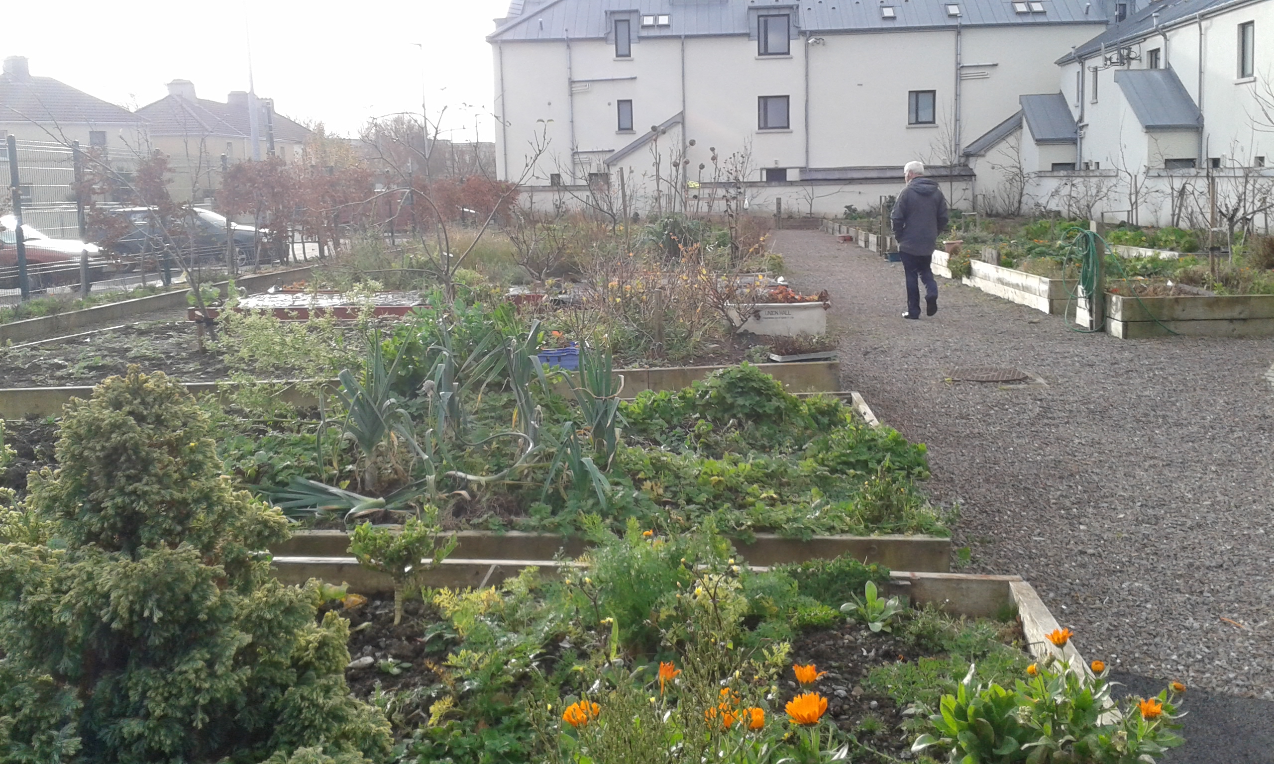 78m² ŠILTNAMIS Ø10m F4 H5m | Tralee, Airija
