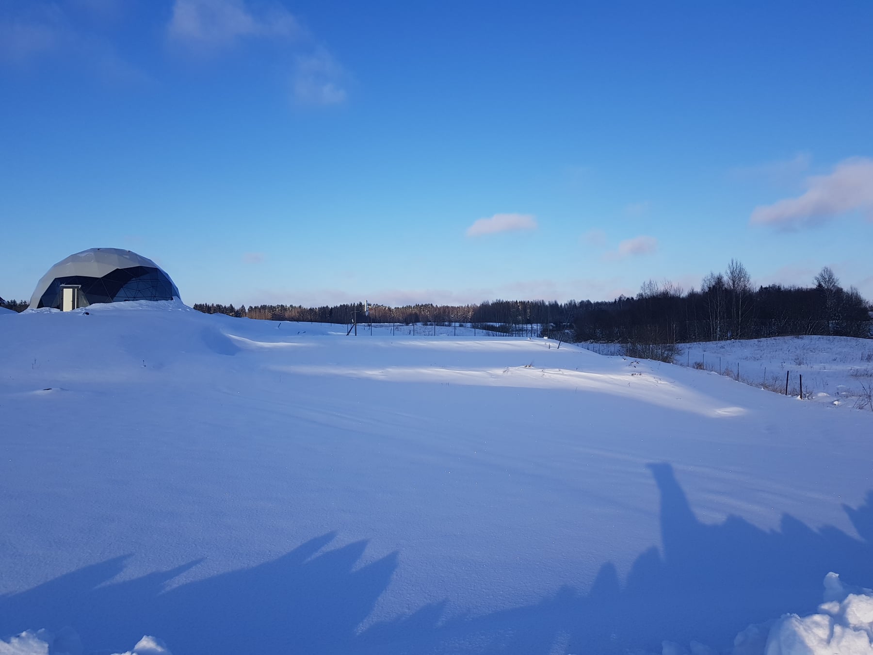 Ø11m 95m2 Renginių Kupolas | MEDA NAMAI, Lietuva