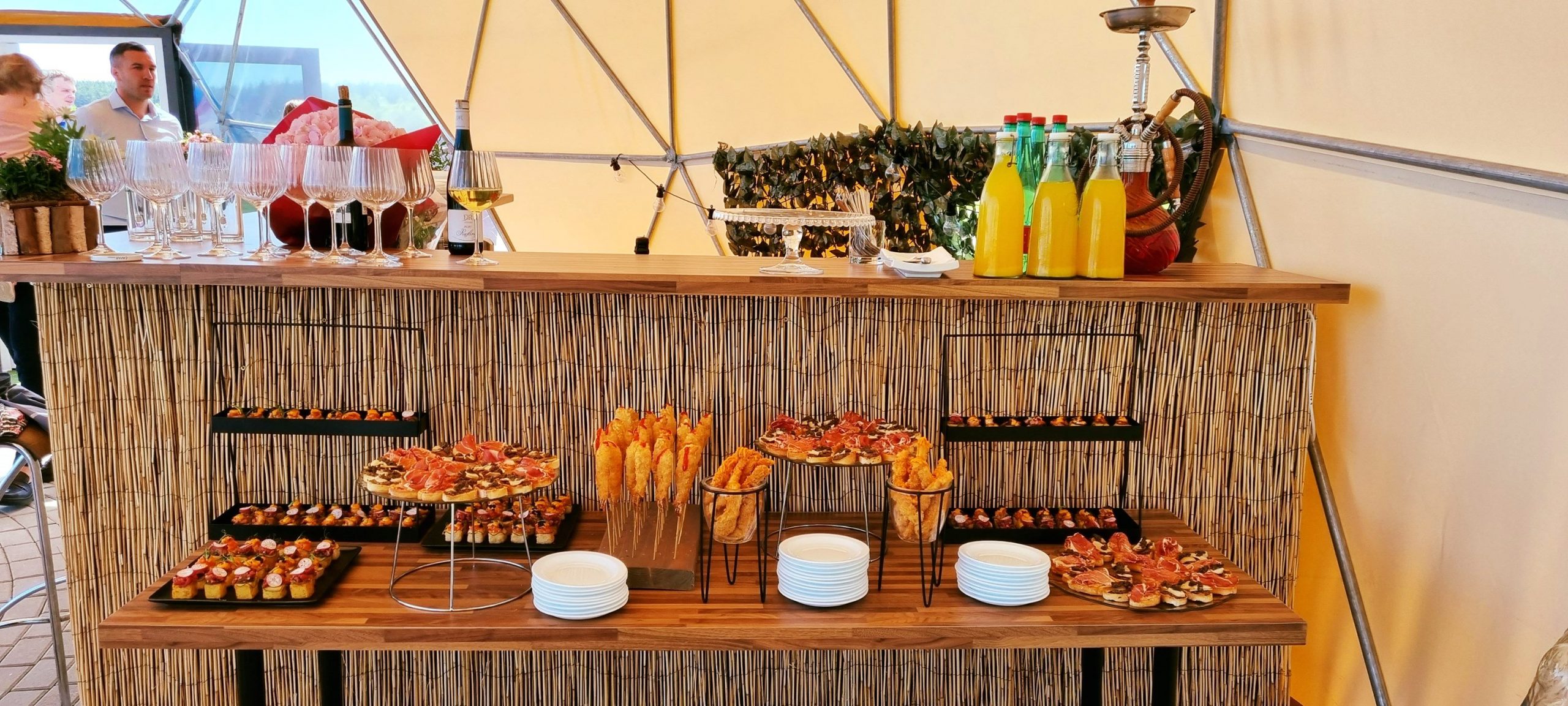 Ø11m 95m2 Renginių Kupolas | MEDA NAMAI, Lietuva